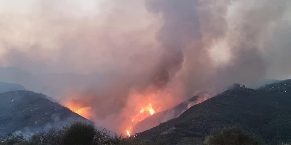 Μακριά από τον Λογγανίκο ο κίνδυνος της πυρκαγιάς της Αρκαδίας