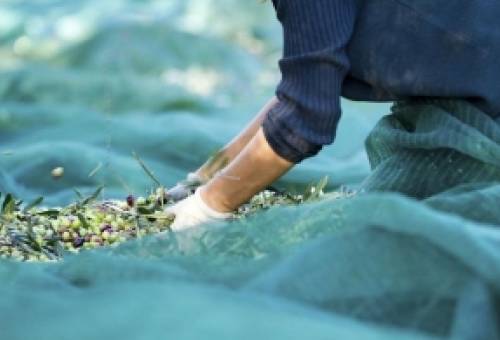 Μπλοκαρισμένες οι πληρωμές ΟΕΦ και στη Λακωνία