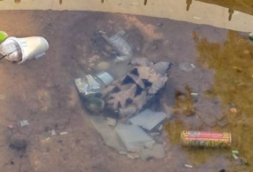 Πέταξαν χελώνα στο σιντριβάνι του Μουσείου Σπάρτης