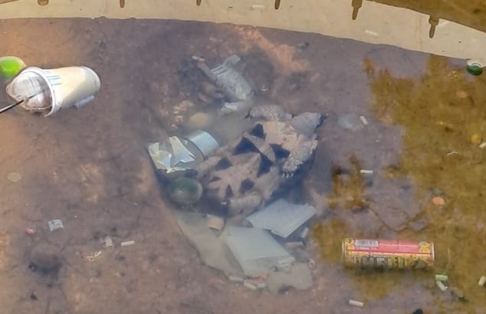 Πέταξαν χελώνα στο σιντριβάνι του Μουσείου Σπάρτης