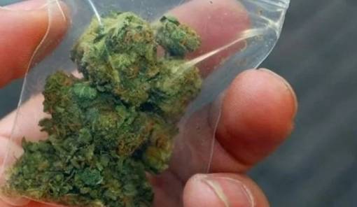 &Mu;&epsilon; &mu;&iota;&kappa;&rho;&omicron;&pi;&omicron;&sigma;ό&tau;&eta;&tau;&epsilon;&sigmaf; &chi;&alpha;&sigma;ί&sigmaf; &laquo;&pi;&iota;ά&sigma;&tau;&eta;&kappa;&alpha;&nu; &delta;ύ&omicron; ά&tau;&omicron;&mu;&alpha; &sigma;&tau;&eta; &Lambda;&alpha;&kappa;&omega;&nu;ί&alpha;