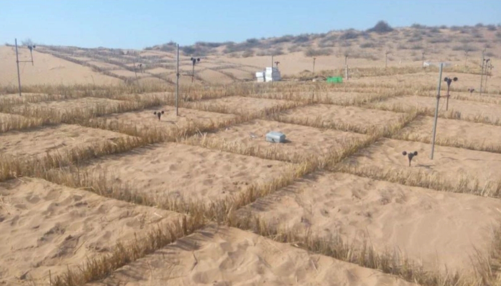 &Omicron;&iota; &Kappa;&iota;&nu;έ&zeta;&omicron;&iota; &chi;&rho;&eta;&sigma;&iota;&mu;&omicron;&pi;&omicron;&iota;&omicron;ύ&nu; &beta;&alpha;&kappa;&tau;ή&rho;&iota;&alpha; &pi;&omicron;&upsilon; &mu;&epsilon;&tau;&alpha;&tau;&rho;έ&pi;&omicron;&upsilon;&nu; &tau;&eta;&nu; έ&rho;&eta;&mu;&omicron; &sigma;&epsilon; &kappa;&alpha;&lambda;&lambda;&iota;&epsilon;&rho;&gamma;ή&sigma;&iota;&mu;&eta; &gamma;&eta;