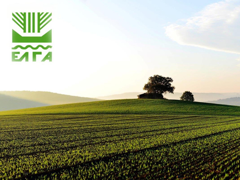 &Sigma;&epsilon; &delta;&iota;&alpha;&beta;&omicron;ύ&lambda;&epsilon;&upsilon;&sigma;&eta; &omicron; &nu;έ&omicron;&sigmaf; &kappa;&alpha;&nu;&omicron;&nu;&iota;&sigma;&mu;ό&sigmaf; &tau;&omicron;&upsilon; &Epsilon;&Lambda;&Gamma;&Alpha;