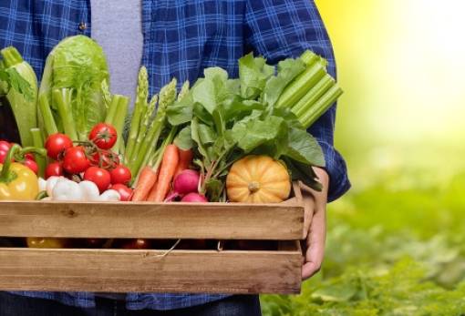 «Βιολογικά»: Τρέχει τώρα ο ΕΛΓΟ για να προλάβει τα χειρότερα