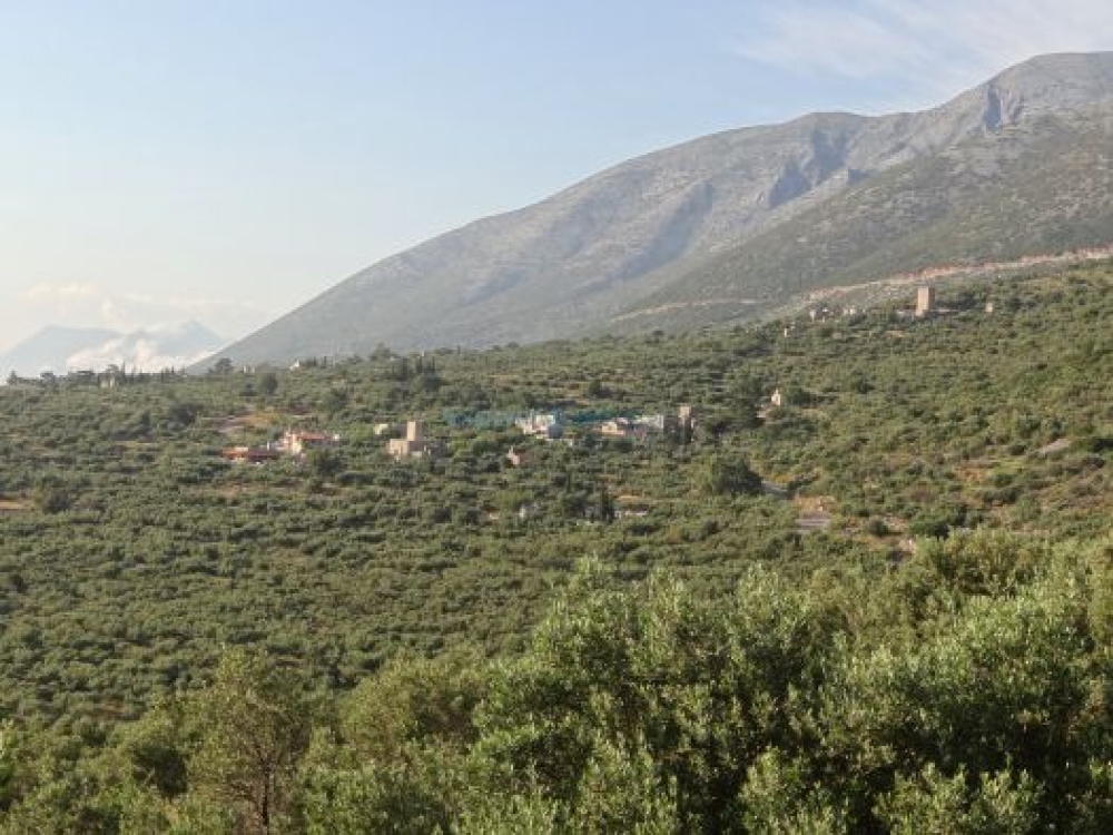 &Sigma;&tau;&eta; &Beta;&omicron;&upsilon;&lambda;ή &tau;&omicron; &laquo;&sigma;ή&mu;&alpha; &kappa;&iota;&nu;&delta;ύ&nu;&omicron;&upsilon;&raquo; &kappa;&alpha;&tau;&omicron;ί&kappa;&omega;&nu; &tau;&eta;&sigmaf; &Pi;&alpha;&lambda;&alpha;&iota;ό&chi;&omega;&rho;&alpha;&sigmaf; &Delta;&iota;&rho;&omicron;ύ &gamma;&iota;&alpha; &tau;&omicron; &nu;&epsilon;&rho;ό