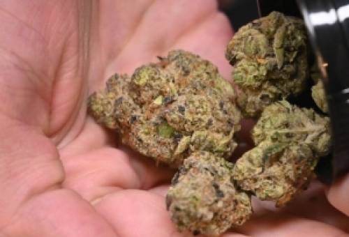 Με κάνναβη πιάστηκαν δύο άτομα στη Λακωνία