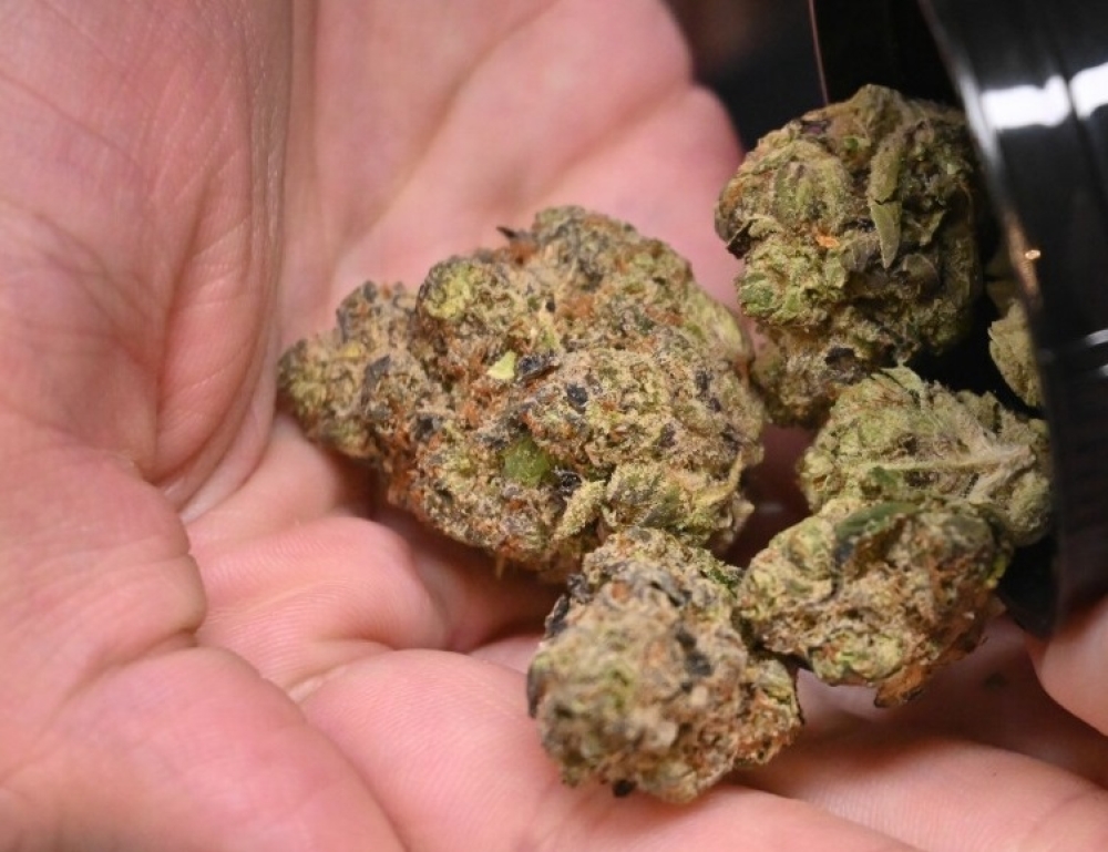 Με κάνναβη πιάστηκαν δύο άτομα στη Λακωνία