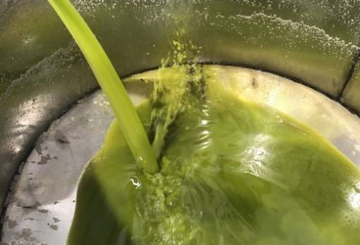 Διαδοχικά ρεκόρ για το λάδι στη Λακωνία