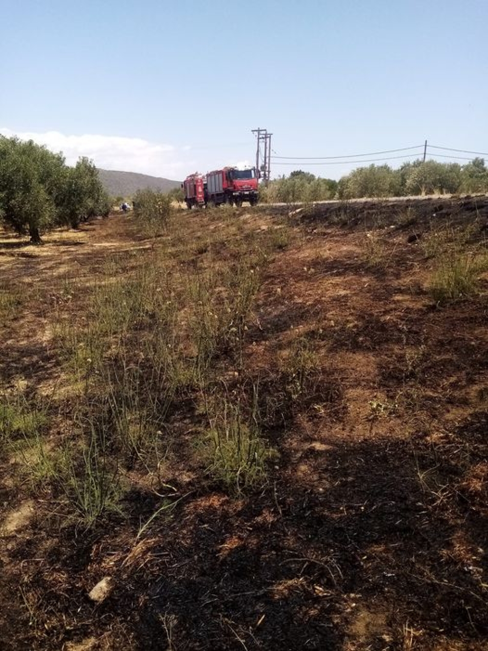 Στο άψε σβήσε έσβησε εστία φωτιάς στις Κροκεές
