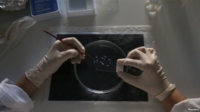 &Epsilon;&rho;&gamma;&alpha;&sigma;&tau;&eta;&rho;&iota;&alpha;&kappa;ή &pi;&rho;&omicron;&sigma;&omicron;&mu;&omicron;ί&omega;&sigma;&eta; &tau;&eta;&sigmaf; &nu;ό&sigma;&omicron;&upsilon; &Alpha;&lambda;&tau;&sigma;&chi;ά&iota;&mu;&epsilon;&rho; &pi;έ&tau;&upsilon;&chi;&alpha;&nu; &epsilon;&rho;&epsilon;&upsilon;&nu;&eta;&tau;έ&sigmaf;