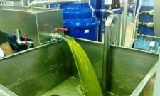 &laquo;SOS&raquo; &Kappa;&rho;&eta;&tau;&iota;&kappa;&omicron;ύ &gamma;&iota;&alpha; &tau;&omicron;&upsilon;&sigmaf; &epsilon;&lambda;&alpha;&iota;&omicron;&upsilon;&rho;&gamma;&iota;&kappa;&omicron;ύ&sigmaf; &sigma;&upsilon;&nu;&epsilon;&tau;&alpha;&iota;&rho;&iota;&sigma;&mu;&omicron;ύ&sigmaf;: &Alpha;&lambda;&lambda;&alpha;&gamma;ή &mu;&pi;&lambda;&omicron;&kappa;ά&rho;&epsilon;&iota; &tau;&iota;&sigmaf; &pi;&lambda;&eta;&rho;&omega;&mu;έ&sigmaf; &Omicron;&Epsilon;&Phi;