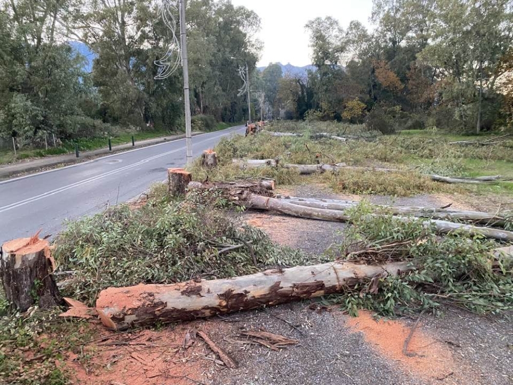 Εξελίξεις με την ανάπλαση στο Άλσος Γουδέ