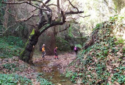 Εξόρμηση στο φαράγγι των Ταλάντων από τον ΕΟΣ ΜΝΑΛ