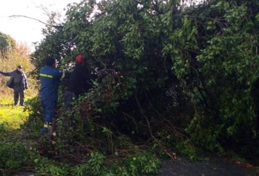 Άνεμοι προβλημάτων σε περιοχές του Δ. Σπάρτης