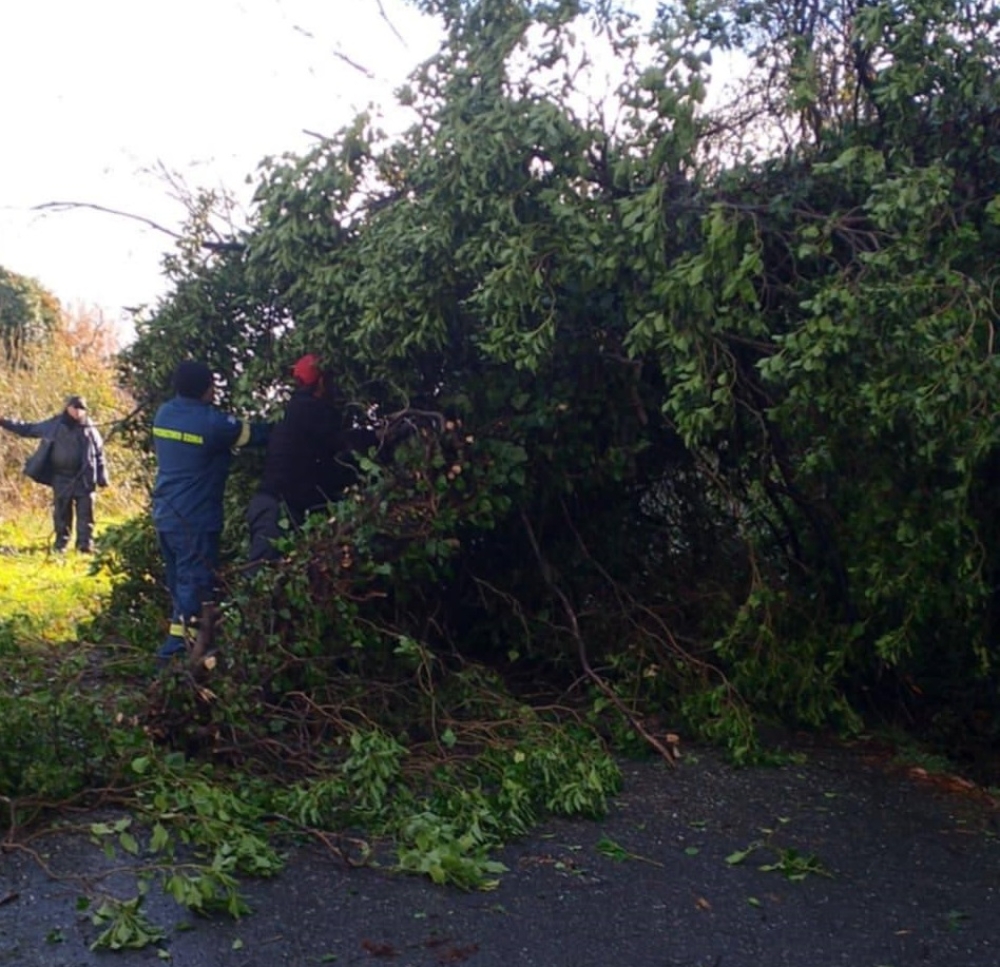 Ά&nu;&epsilon;&mu;&omicron;&iota; &pi;&rho;&omicron;&beta;&lambda;&eta;&mu;ά&tau;&omega;&nu; &sigma;&epsilon; &pi;&epsilon;&rho;&iota;&omicron;&chi;έ&sigmaf; &tau;&omicron;&upsilon; &Delta;. &Sigma;&pi;ά&rho;&tau;&eta;&sigmaf;
