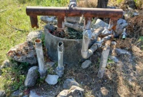 Στα έδρανα της Βουλής από Βελόπουλο ο αρδευτικός «ακρωτηριασμός» στα Καλύβια Σοχάς