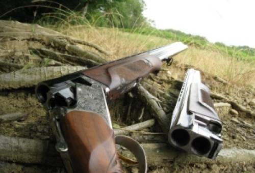 Σύλληψη 45χρονου στη Μάνη για παράνομη κατοχή όπλων