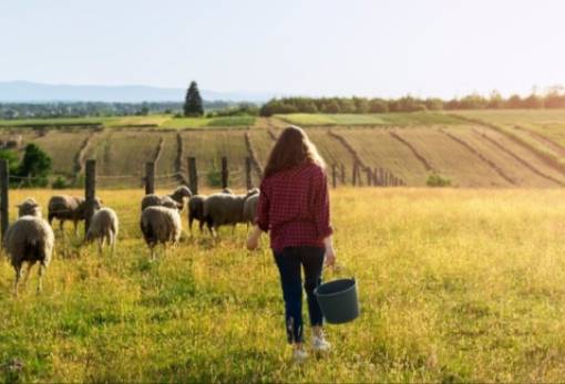 Ευκαιρίες για νέους σε αγροτικές και απομακρυσμένες περιοχές