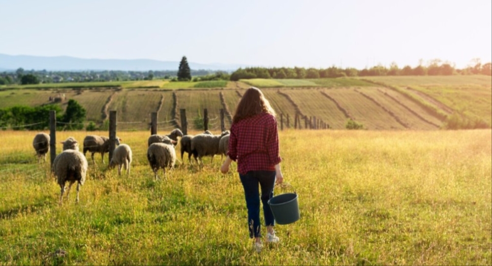 &Epsilon;&upsilon;&kappa;&alpha;&iota;&rho;ί&epsilon;&sigmaf; &gamma;&iota;&alpha; &nu;έ&omicron;&upsilon;&sigmaf; &sigma;&epsilon; &alpha;&gamma;&rho;&omicron;&tau;&iota;&kappa;έ&sigmaf; &kappa;&alpha;&iota; &alpha;&pi;&omicron;&mu;&alpha;&kappa;&rho;&upsilon;&sigma;&mu;έ&nu;&epsilon;&sigmaf; &pi;&epsilon;&rho;&iota;&omicron;&chi;έ&sigmaf;