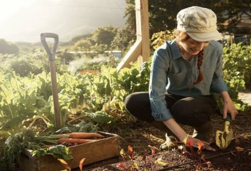 «Η Συμβολή των Γυναικών στην Αγροτική Ανάπτυξη»