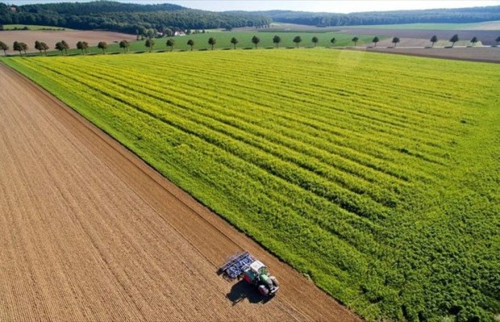 &Upsilon;&pi;&omicron;&gamma;&rho;ά&phi;&eta;&kappa;&epsilon; &eta; &Upsilon;&Alpha; &gamma;&iota;&alpha; &tau;&iota;&sigmaf; &Epsilon;&pi;&iota;&chi;&epsilon;&iota;&rho;&eta;&sigma;&iota;&alpha;&kappa;έ&sigmaf; &Omicron;&mu;ά&delta;&epsilon;&sigmaf; &tau;&eta;&sigmaf; &Kappa;&Alpha;&Pi;