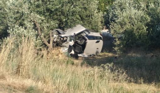 &Mu;&pi;&alpha;&rho;ά&zeta; &tau;&rho;&omicron;&chi;&alpha;ί&omega;&nu; &sigma;&tau;&omicron;&upsilon;&sigmaf; &delta;&rho;ό&mu;&omicron;&upsilon;&sigmaf; &tau;&eta;&sigmaf; &Lambda;&alpha;&kappa;&omega;&nu;ί&alpha;&sigmaf;