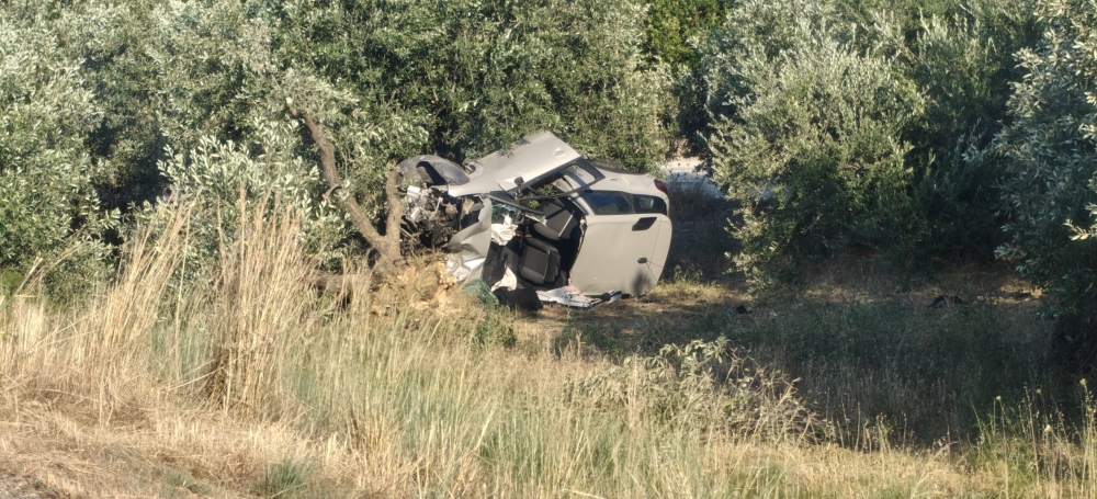 &Mu;&pi;&alpha;&rho;ά&zeta; &tau;&rho;&omicron;&chi;&alpha;ί&omega;&nu; &sigma;&tau;&omicron;&upsilon;&sigmaf; &delta;&rho;ό&mu;&omicron;&upsilon;&sigmaf; &tau;&eta;&sigmaf; &Lambda;&alpha;&kappa;&omega;&nu;ί&alpha;&sigmaf;