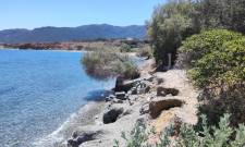 &Alpha;&nu;&alpha;&beta;&lambda;ή&theta;&eta;&kappa;&epsilon; &sigma;&tau;&omicron; &Pi;&Sigma; &Pi;&epsilon;&lambda;&omicron;&pi;&omicron;&nu;&nu;ή&sigma;&omicron;&upsilon; &eta; &sigma;&upsilon;&zeta;ή&tau;&eta;&sigma;&eta; &gamma;&iota;&alpha; &tau;&eta; &delta;&iota;ά&beta;&rho;&omega;&sigma;&eta; &sigma;&tau;&omicron;&nu; &Xi;&iota;&phi;&iota;ά