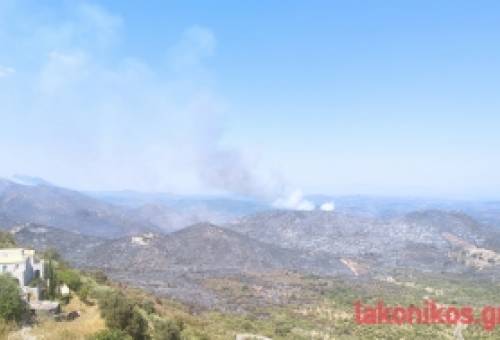 Αναζωπύρωση φωτιάς στο Χωσιάρι Αν. Μάνης