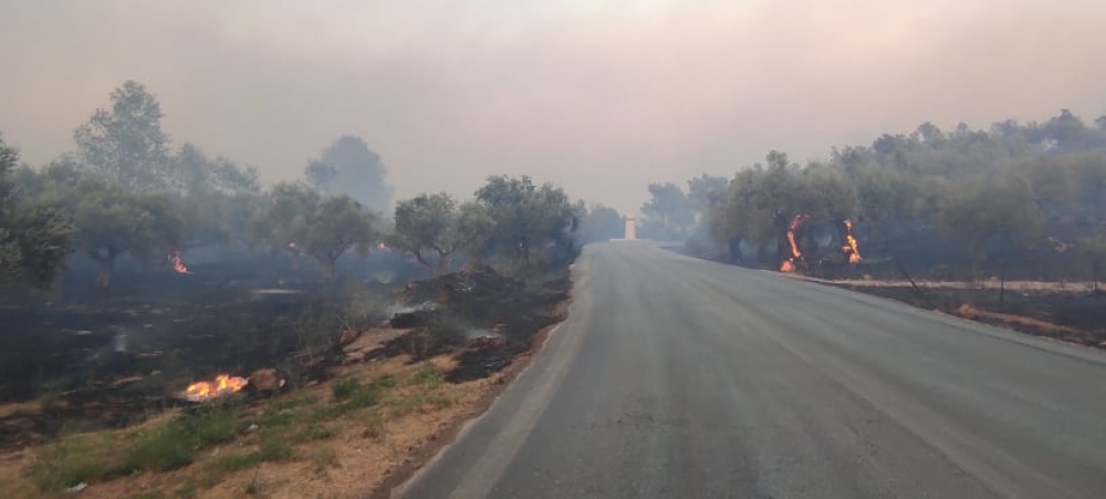 Θ. Βερούτης: «Μπαίνουμε στη νύχτα πολύ καλύτερα από χθες»