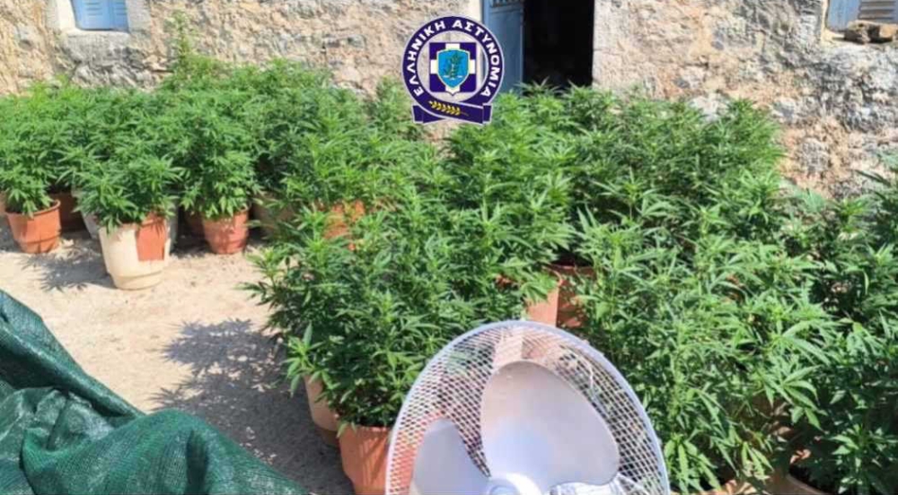 &Alpha;&nu;&alpha;&tau;&omicron;&lambda;&iota;&kappa;ή &Mu;ά&nu;&eta;: &Phi;&upsilon;&tau;&epsilon;ί&alpha; &kappa;&alpha;&iota; &pi;&omicron;&lambda;&epsilon;&mu;&iota;&kappa;ό&sigmaf; &epsilon;&xi;&omicron;&pi;&lambda;&iota;&sigma;&mu;ό&sigmaf; &sigma;&tau;&omicron; &sigma;&pi;ί&tau;&iota; 70&chi;&rho;&omicron;&nu;&omicron;&upsilon;