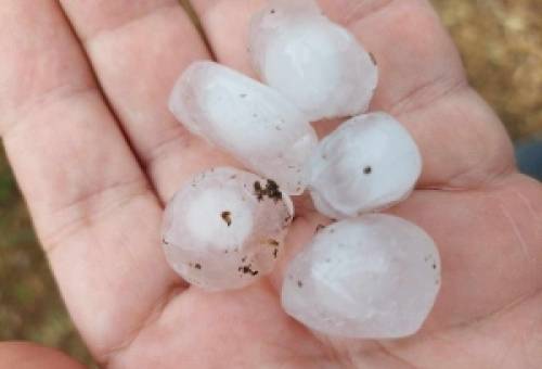 Καταστροφικό χαλάζι στη νοτιοανατολική Λακωνία