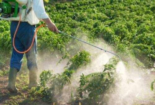 Ζιζανιοκτόνα: Τι πρέπει να προσέχουν οι παραγωγοί