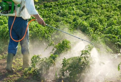 Ζιζανιοκτόνα: Τι πρέπει να προσέχουν οι παραγωγοί
