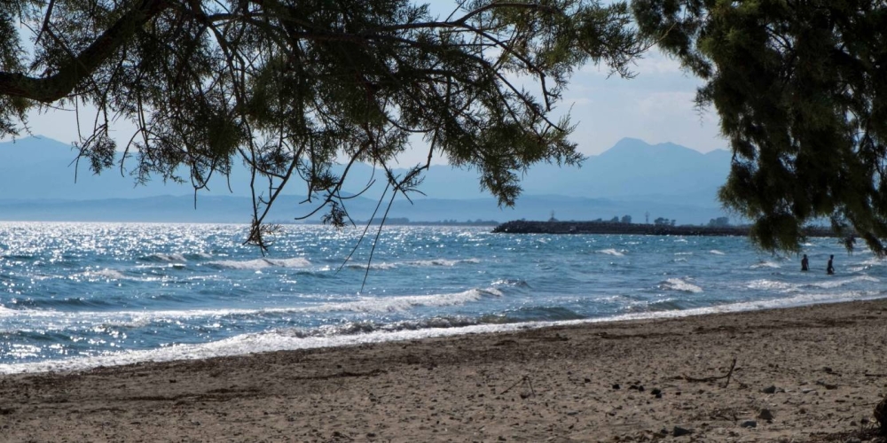 Ά&nu;&delta;&rho;&alpha;&sigmaf; &xi;&epsilon;&psi;ύ&chi;&eta;&sigma;&epsilon; &epsilon;&nu;ώ έ&kappa;&alpha;&nu;&epsilon; &mu;&pi;ά&nu;&iota;&omicron; &sigma;&tau;&eta;&nu; &Kappa;&omicron;&kappa;&kappa;&iota;&nu;&iota;ά &Gamma;&lambda;&upsilon;&kappa;ό&beta;&rho;&upsilon;&sigma;&eta;&sigmaf;