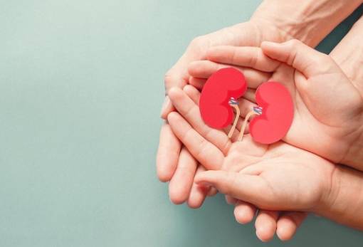 Εθνική η υπόθεση των μεταμοσχεύσεων και της δωρεάς οργάνων