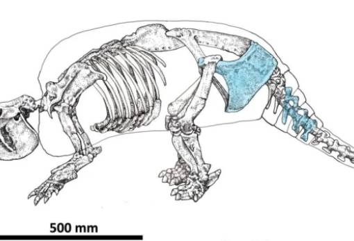 Πότε ανακαλύφθηκε πραγματικά η Αμερική;