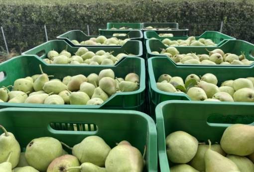 Στήριξη στους Λάκωνες αγρότες με το νέο Μέτρο 23