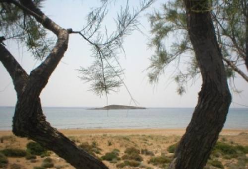 Λακε-Δαιμονικά: Το μαρμαρωμένο καράβι του Μαραθιά