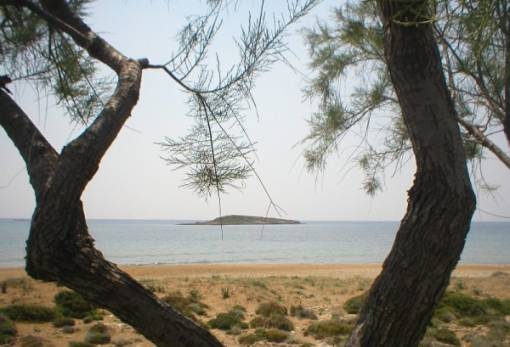 Λακε-Δαιμονικά: Το μαρμαρωμένο καράβι του Μαραθιά