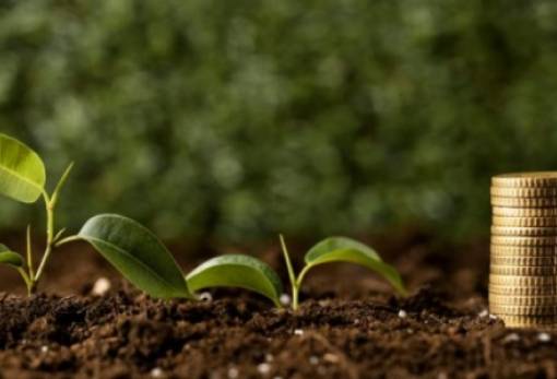 ΟΠΕΚΕΠΕ: Μέχρι τις 23 Ιουλίου οι ενστάσεις για εκκαθάριση σε Βιολογικά και Αυτόχθονες Φυλές