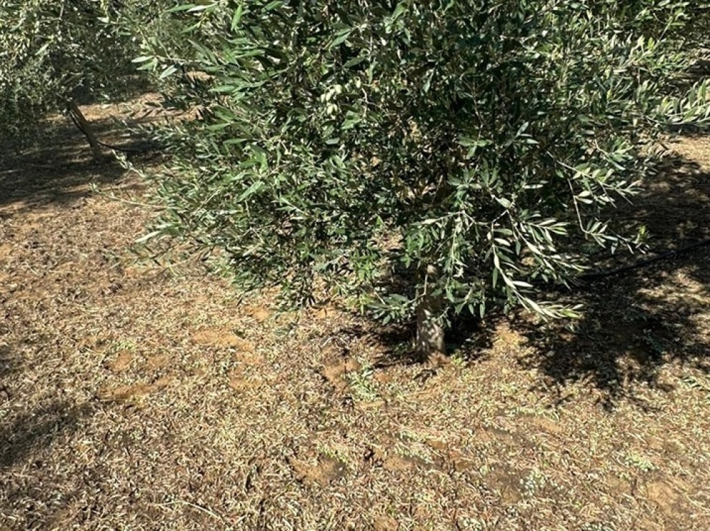 &Tau;&eta;&nu; ά&nu;&omicron;&iota;&xi;&eta; &omicron;&iota; &alpha;&pi;&omicron;&zeta;&eta;&mu;&iota;ώ&sigma;&epsilon;&iota;&sigmaf; &gamma;&iota;&alpha; &tau;&omicron; &chi;&alpha;&lambda;ά&zeta;&iota; &sigma;&tau;&omicron;&nu; &Delta;. &Mu;&omicron;&nu;&epsilon;&mu;&beta;&alpha;&sigma;ί&alpha;&sigmaf;