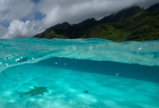 7 μικρές νίκες για το περιβάλλον και το κλίμα που σημειώθηκαν το 2025