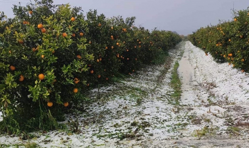 &Alpha;&pi;&omicron;&tau;&epsilon;&lambda;έ&sigma;&mu;&alpha;&tau;&alpha; &tau;&omicron;&upsilon; &Epsilon;&Lambda;&Gamma;&Alpha; &gamma;&iota;&alpha; &tau;&omicron; &chi;&alpha;&lambda;ά&zeta;&iota; &sigma;&tau;&iota;&sigmaf; &Kappa;&rho;&omicron;&kappa;&epsilon;έ&sigmaf;
