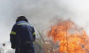 &Tau;&iota;&theta;&alpha;&sigma;&epsilon;ύ&tau;&eta;&kappa;&alpha;&nu; ά&mu;&epsilon;&sigma;&alpha; &phi;&omega;&tau;&iota;έ&sigmaf; &sigma;&epsilon; &Pi;ά&rho;&nu;&omega;&nu;&alpha; &kappa;&alpha;&iota; &Mu;&alpha;&kappa;&rho;&iota;&nu;ά&rho;&alpha;