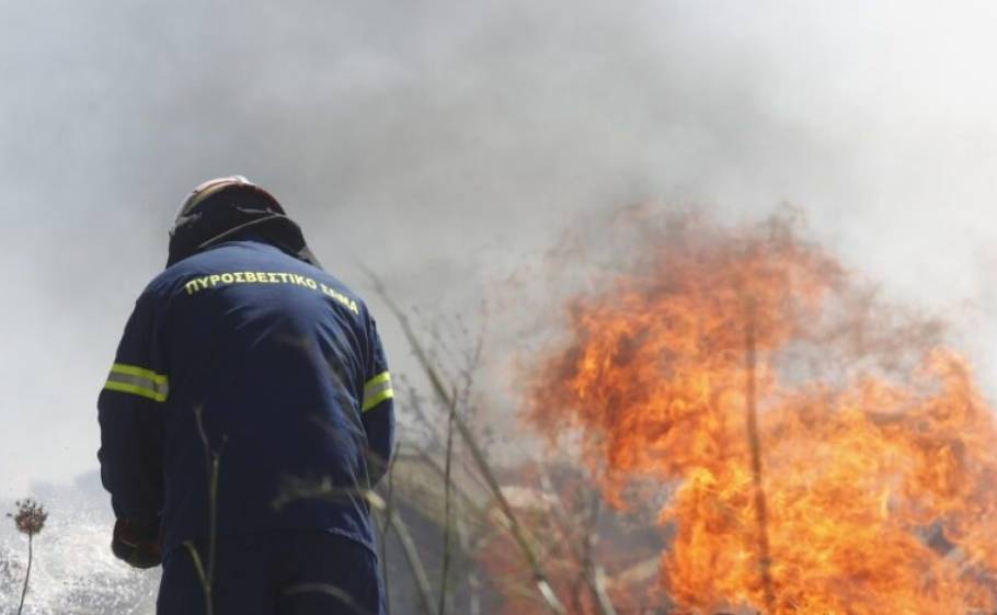 &Tau;&iota;&theta;&alpha;&sigma;&epsilon;ύ&tau;&eta;&kappa;&alpha;&nu; ά&mu;&epsilon;&sigma;&alpha; &phi;&omega;&tau;&iota;έ&sigmaf; &sigma;&epsilon; &Pi;ά&rho;&nu;&omega;&nu;&alpha; &kappa;&alpha;&iota; &Mu;&alpha;&kappa;&rho;&iota;&nu;ά&rho;&alpha;