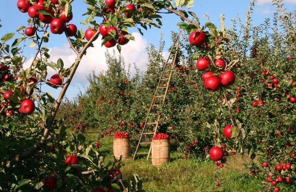 &Eta; &Alpha;&Iota; &delta;&epsilon;ί&chi;&nu;&epsilon;&iota; &pi;ό&tau;&epsilon; &epsilon;ί&nu;&alpha;&iota; &eta; ώ&rho;&alpha; &tau;&eta;&sigmaf; &sigma;&upsilon;&gamma;&kappa;&omicron;&mu;&iota;&delta;ή&sigmaf;