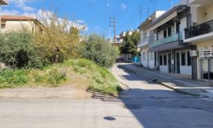 &Sigma;&upsilon;&mu;&beta;ό&lambda;&alpha;&iota;&omicron; &gamma;&iota;&alpha; &alpha;&gamma;&omicron;&rho;ά &kappa;&alpha;&iota; &delta;&iota;ά&nu;&omicron;&iota;&xi;&eta; &tau;&omicron;&upsilon; &laquo;&sigma;&tau;&epsilon;&nu;&omicron;ύ&raquo; &tau;&eta;&sigmaf; &Theta;&epsilon;&rho;&mu;&omicron;&pi;&upsilon;&lambda;ώ&nu;