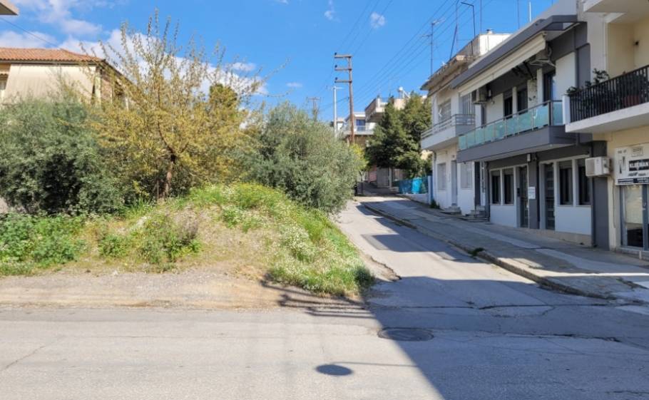 &Sigma;&upsilon;&mu;&beta;ό&lambda;&alpha;&iota;&omicron; &gamma;&iota;&alpha; &alpha;&gamma;&omicron;&rho;ά &kappa;&alpha;&iota; &delta;&iota;ά&nu;&omicron;&iota;&xi;&eta; &tau;&omicron;&upsilon; &laquo;&sigma;&tau;&epsilon;&nu;&omicron;ύ&raquo; &tau;&eta;&sigmaf; &Theta;&epsilon;&rho;&mu;&omicron;&pi;&upsilon;&lambda;ώ&nu;