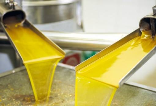 Στο ζενίθ το ελαιόλαδο στη Λακωνία